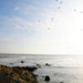 Pacific Coast
