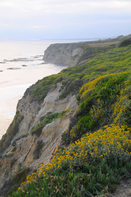Cliffy Coast