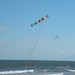 Kites