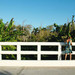 On the Bridge