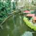 Gaylord Opryland