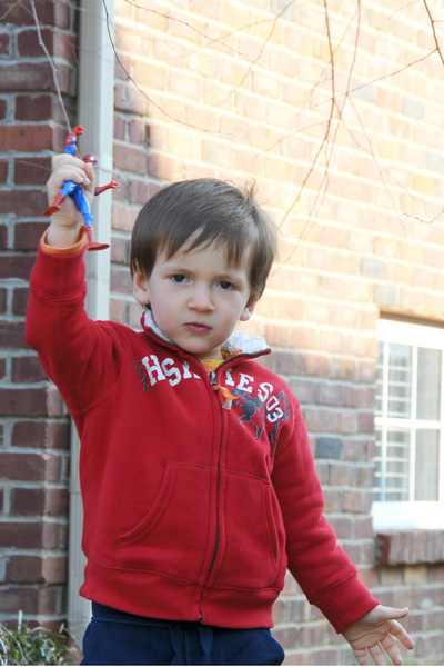 Spider Man