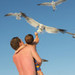 Seagull