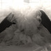 Legs and Tulle